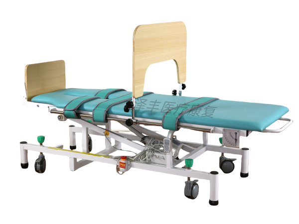 电动起立床 ZF-DZL-01